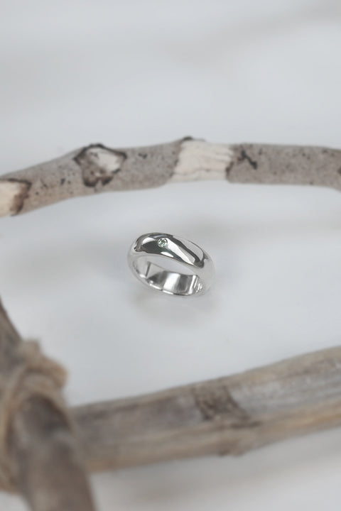 Dixon Silver Ring