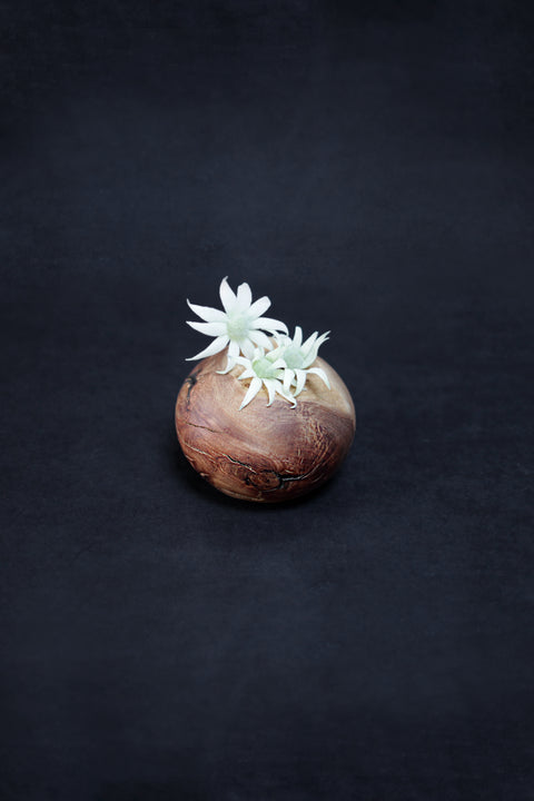 Julian Wooden Vase