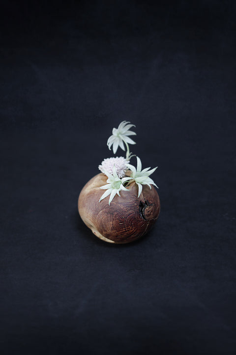 Julian Wooden Vase