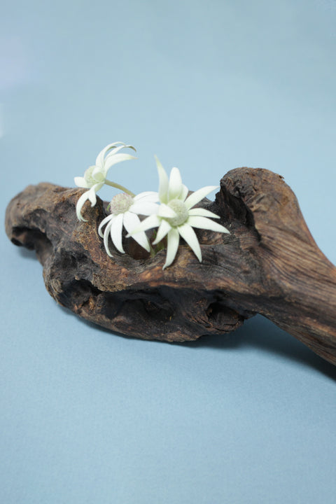 Ashley Wooden Vase